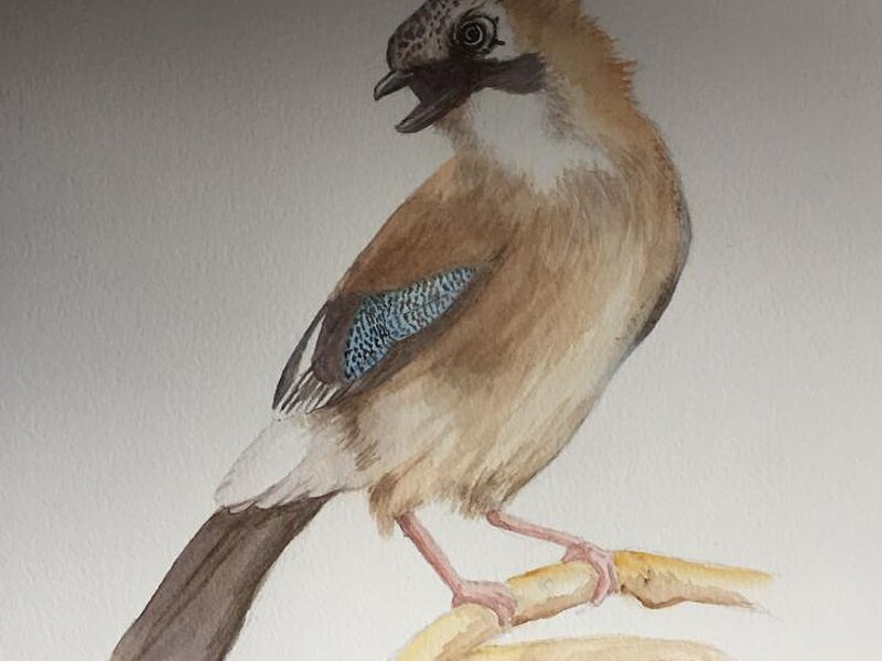 Aquarellbild Motiv Vogel