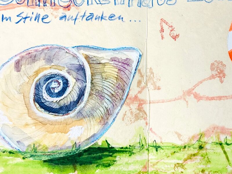 Zeichnung eines Schneckanhauses