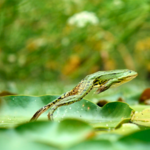 Sich verbinden - spüren, fühlen, tun